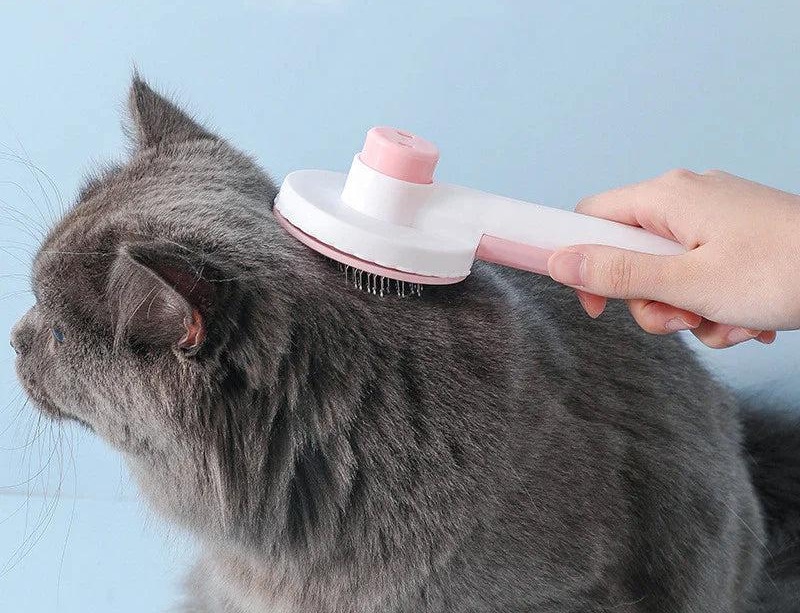 bàn chải tự làm sạch lông