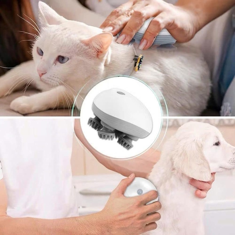 kinh nghiệm nhập sỉ máy massage cho chó mèo