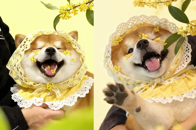 tiêu chí chọn nguồn hàng
